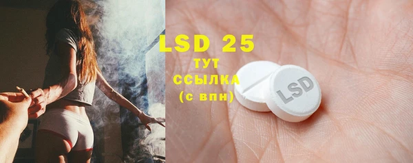 тгк Абаза