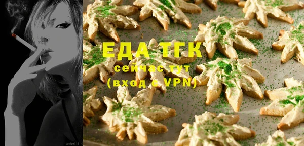 тгк Абаза
