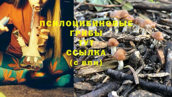 тгк Абаза