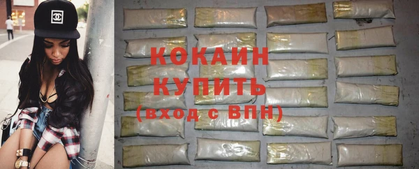 тгк Абаза