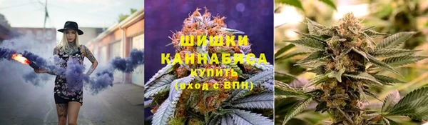 тгк Абаза